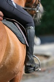 Chiropractic Treatment for Horses - close-up of stirrups